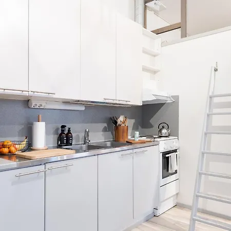 Viihtyisae Yksioe Idylisessae Pispalassa