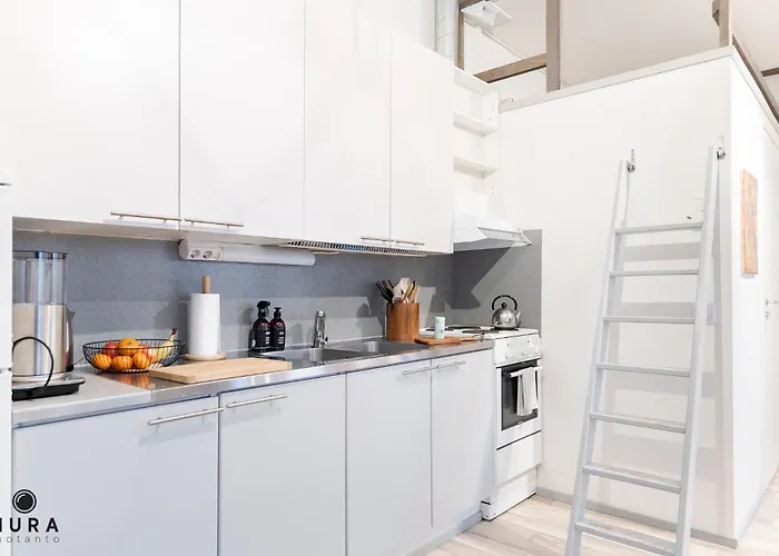 Viihtyisae Yksioe Idylisessae Pispalassa