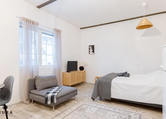 Viihtyisae Yksioe Idylisessae Pispalassa Apartman