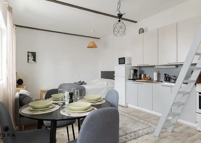 Viihtyisae Yksioe Idylisessae Pispalassa